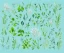 Placeholder: vector plants and herb set illustration. watercolor white backdrop