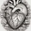 Placeholder: Cabin inside an anatomical heart