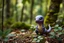 Placeholder: small violet Charmander in forest realistic