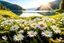 Placeholder: beautiful field with daisies, white or pink or blue light effects colors, sun, realistic, very detailed, daisies flowers on a moss mat around a peaceful lake, high contrast, 8k, high definition, concept art, sharp focus