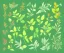 Placeholder: Vector plants and herb set illustration. Watercolor illustration. ขาวพื้นหลัง