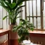 Placeholder:  mahogany table lush high-detail house plants in pots looking out of a window to a crowded city with many textbooks on the table