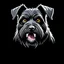 Placeholder: head of an angry scruffy black terrier on black background, yellow eyes, defined teeth, turned partially to the right, illustration