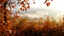 Placeholder: Autumn: falling leaves, Misty mornings, fog over distant fields or forests, sunshine; people wear scarves, woolly hats, gloves, steaming hot drinks; birds migrating, squirrels gathering nuts, rabbits, chestnuts, acorns, berries, rowan, holly, mistletoe, beautiful colours, atmospheric. Award winning photograph.