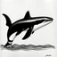 Placeholder: Orca drawing