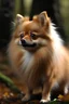 Placeholder: Pomeranian, Cupra Formentor