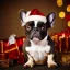 Placeholder: Portrait of a cute french bulldog with brown fur celebrating new year and christmas