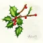 Placeholder: drawing mistletoe