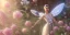 Placeholder: crystal subtle flower in a galactic ambiance beautiful fairy, transparent, delicate colors, in the foreground, full of details, smooth，soft light atmosphere, light effect，vaporwave colorful, concept art, smooth, extremely sharp detail, finely tuned detail, ultra high definition, 8 k, unreal engine 5, ultra sharp focus