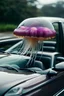 Placeholder: Jellyfish driving car